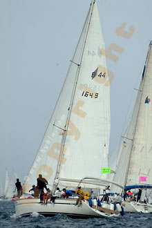 barcolana04/regata04.jpg