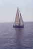 regata01_27j.jpg (804 byte)