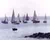 regata01_3j.jpg (988 byte)