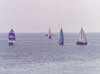 regata01_5j.jpg (1020 byte)